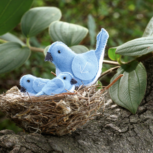 Styled shot of little softie bluebird family in nest
