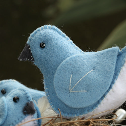 Closeup of mother bluebird softie