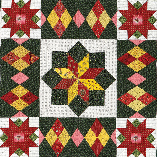 Closeup of star block medallion centre from patchwork and appliqué quilt