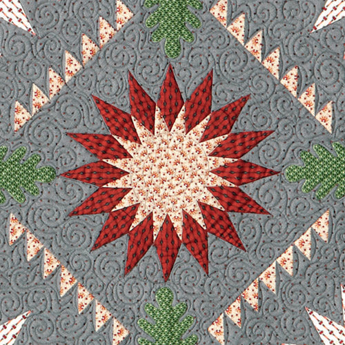 Closeup of red central starburst appliqué quilt block